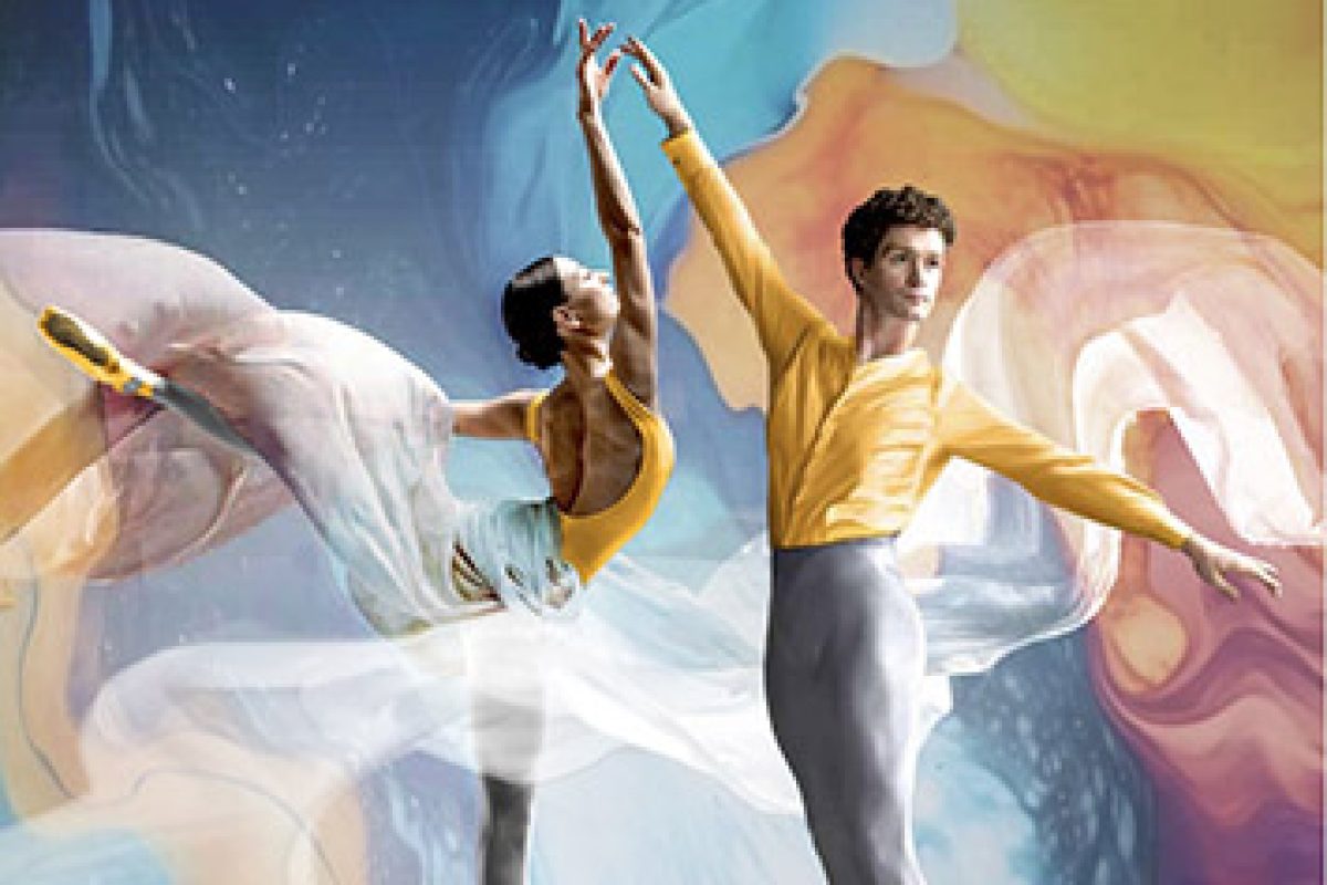 estetik line katalog